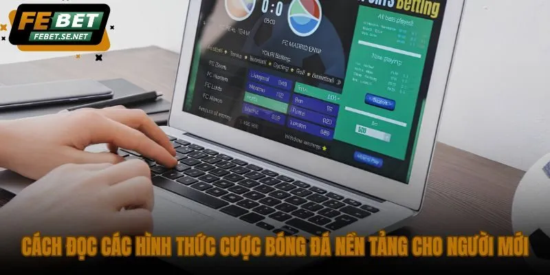 cach doc cac hinh thuc cuoc bong da nen tang cho nguoi moi