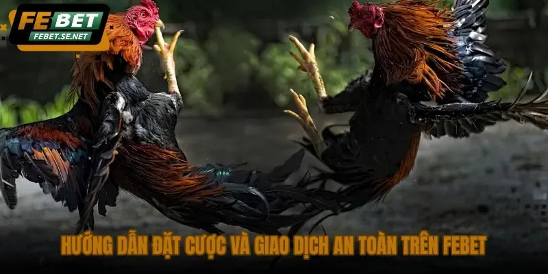 huong dan dat cuoc va giao dich an toan tren febet