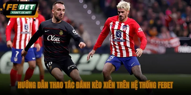 huong dan thao tac danh keo xien tren he thong febet