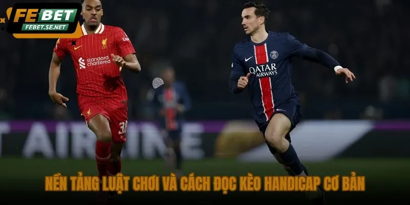 nen tang luat choi va cach doc keo handicap co ban