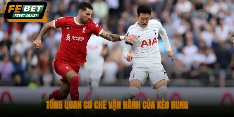 tong quan co che van hanh cua keo rung